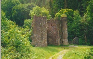 Carey's Castle Tipperary