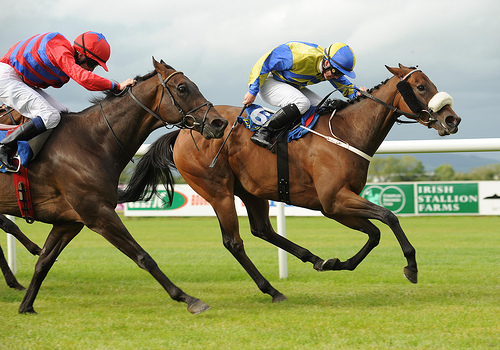 Horse racing action Tipperary races