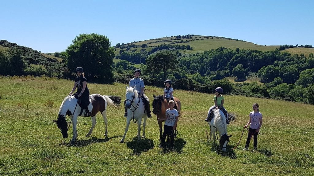 Pony trekking in Tipperary