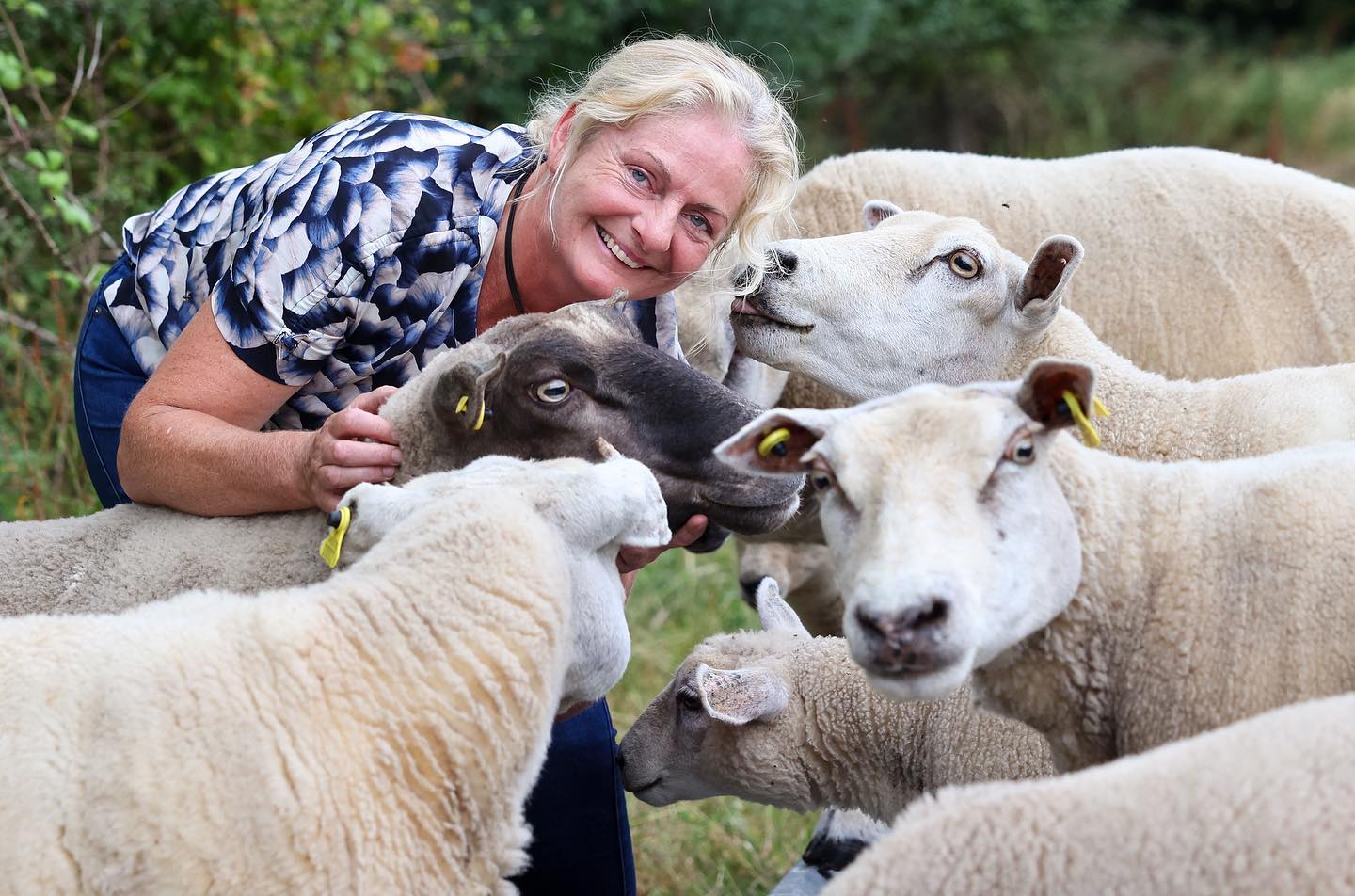 476131343_612428668081574_2754229336883255421_n