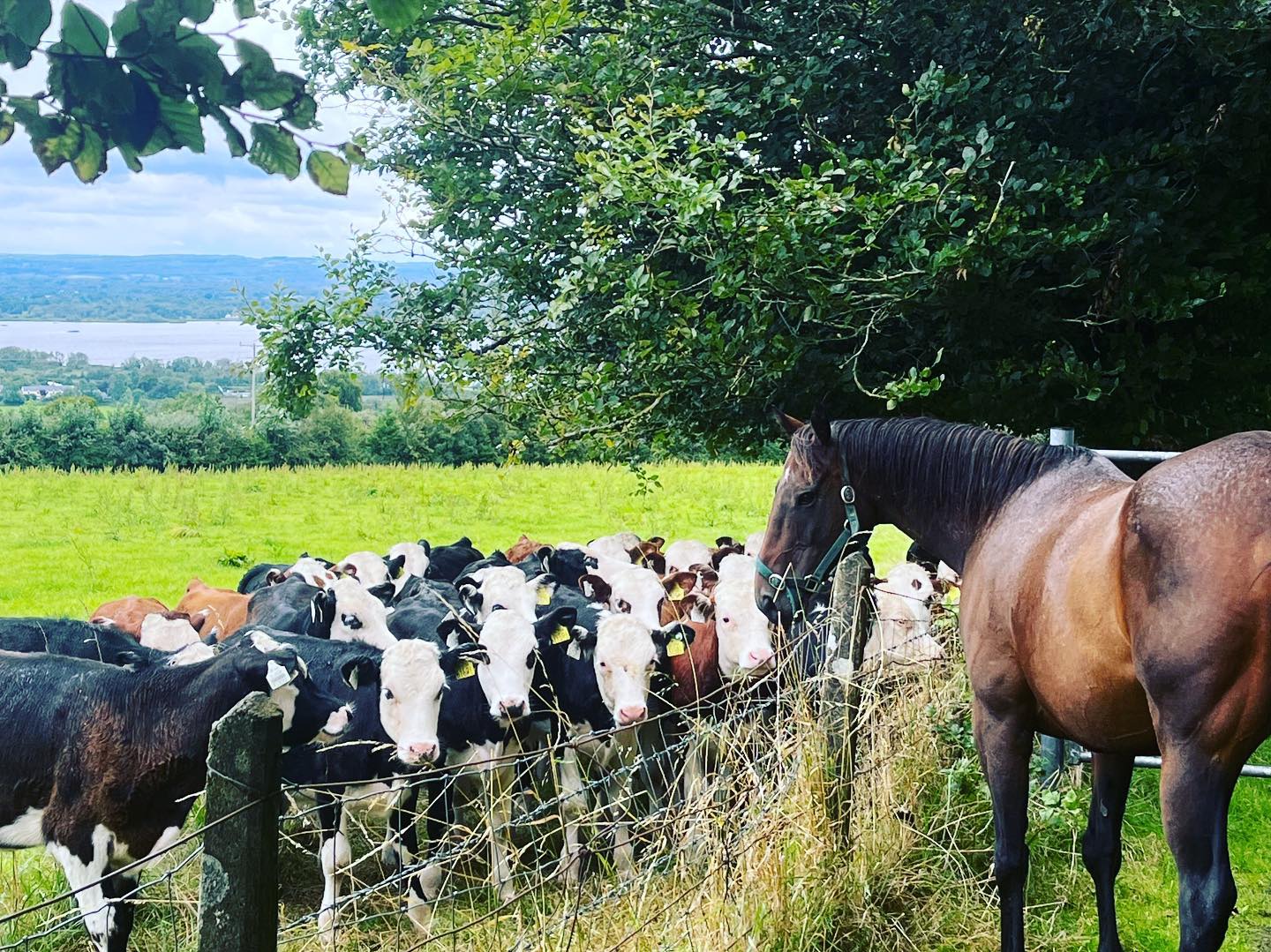 480817383_620689100588864_2142446915179264058_n