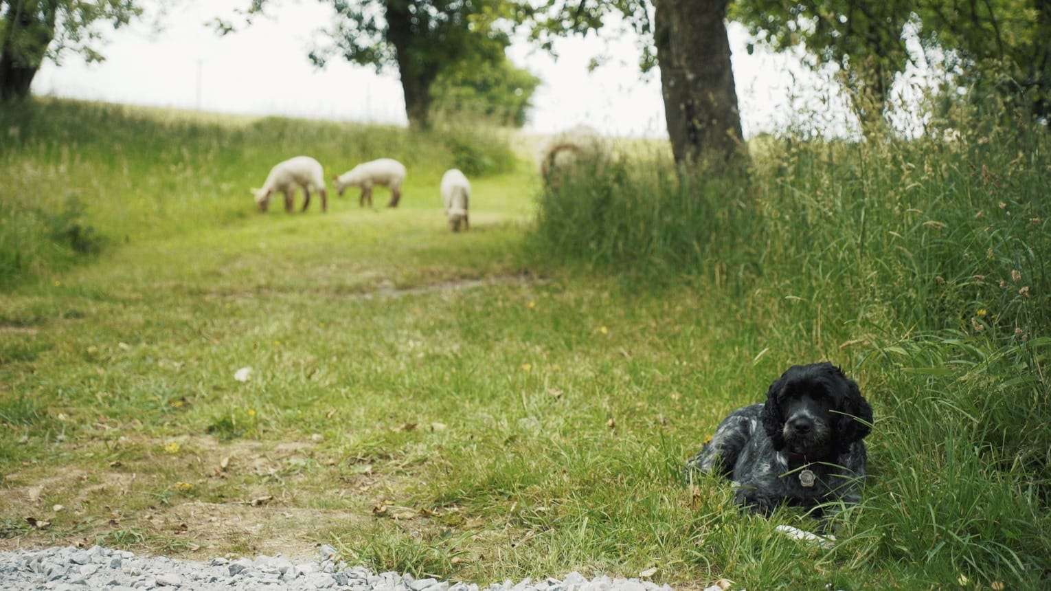 481080432_9374794272627485_6828999791712266142_n