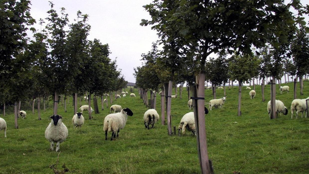 482086962_9380351242071788_1521533744582256413_n