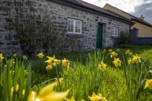 Lorrha Cottages