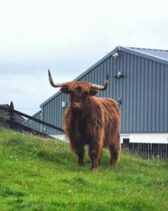 Tearaways Pet Farm & Activity Centre