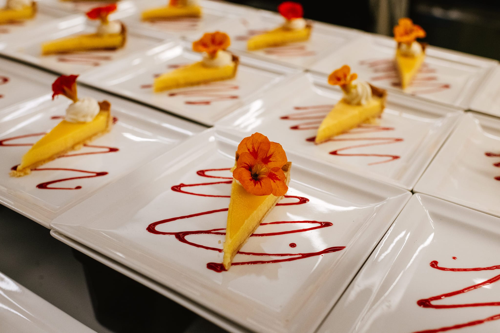 488928051_1222201993240789_6433395965508486249_n