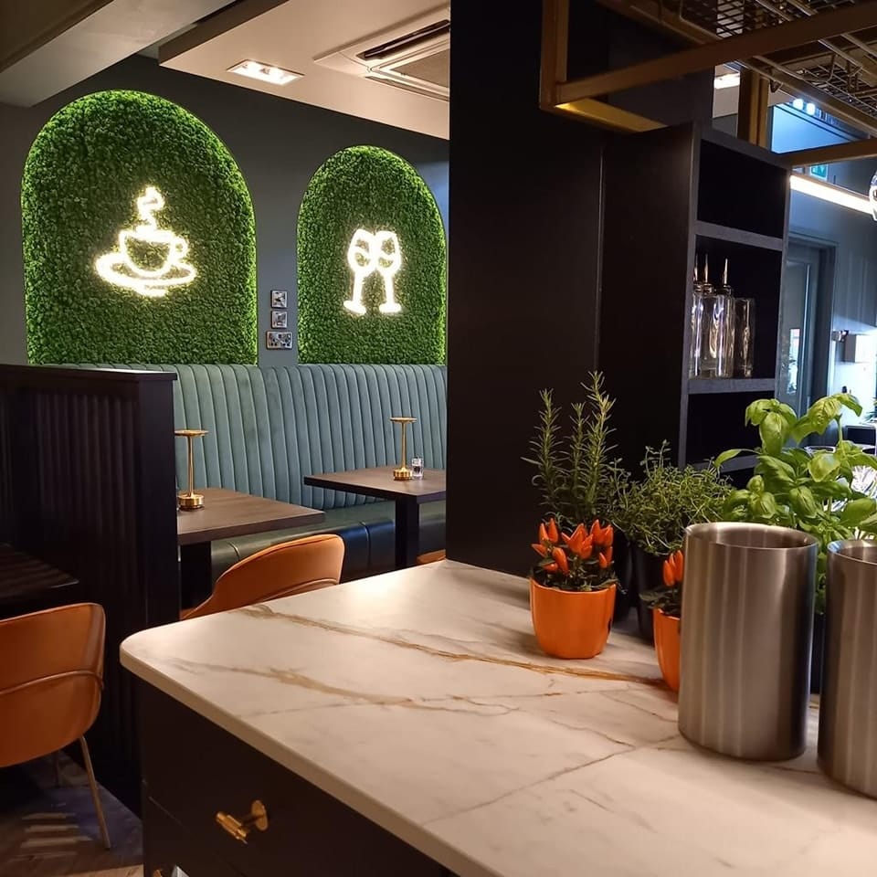 491192183_1253014223491827_6929622016665970583_n