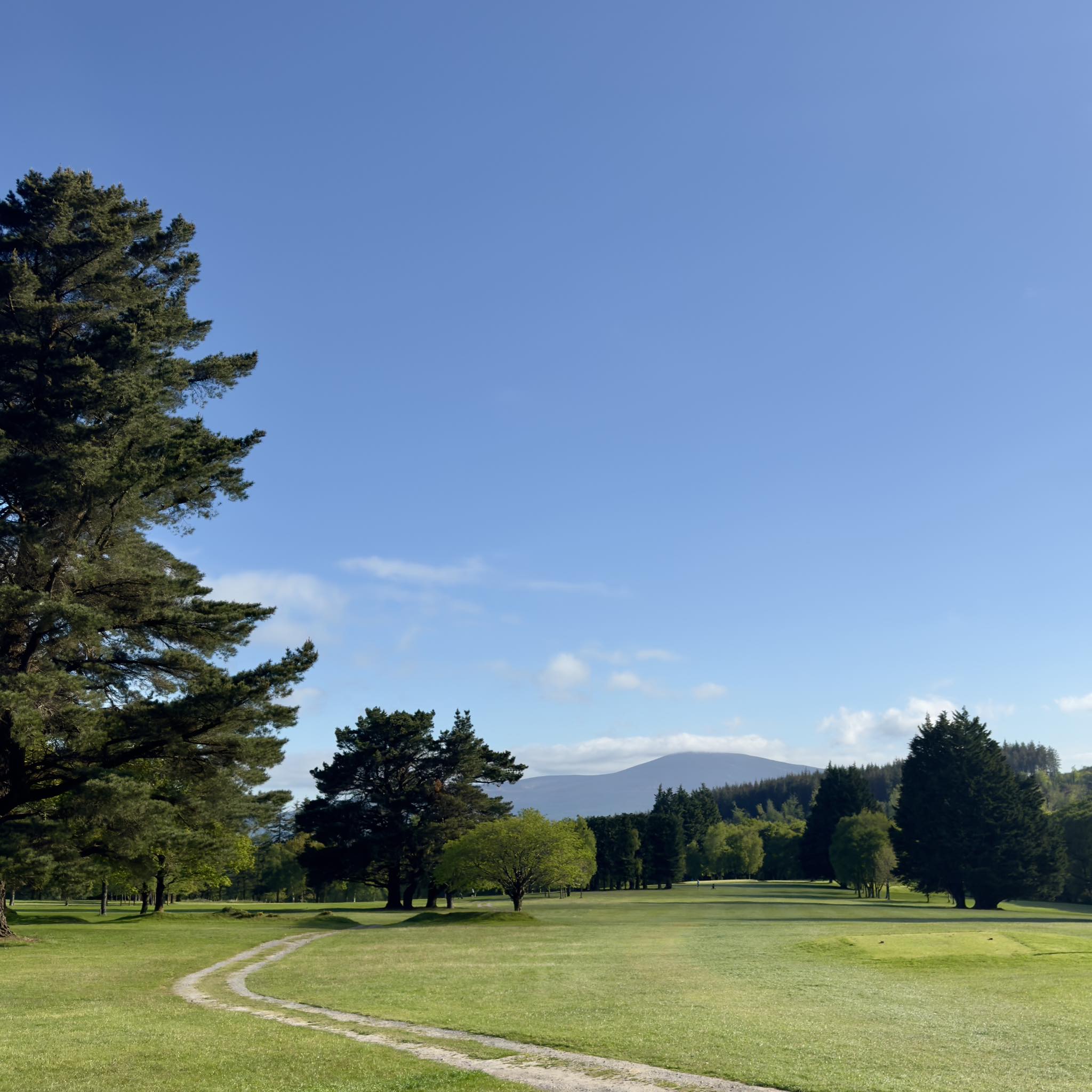 502619373_1285263293600535_1962733647872514009_n