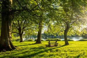 Templemore Town Park