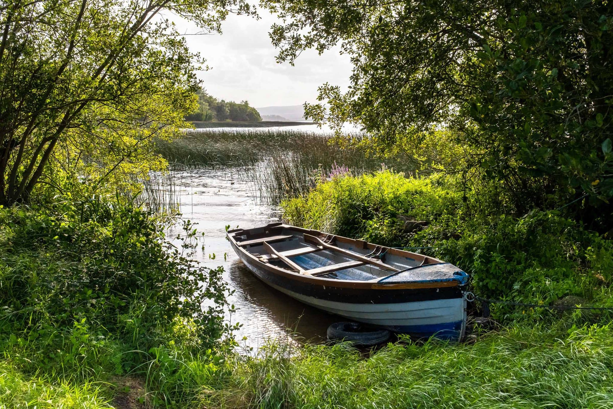 533863425_757548560236250_7296127731561487554_n