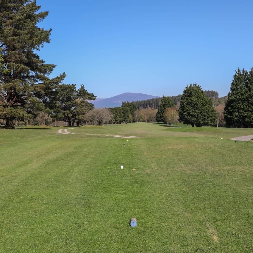 536277791_1356522876474576_3569366893360329969_n