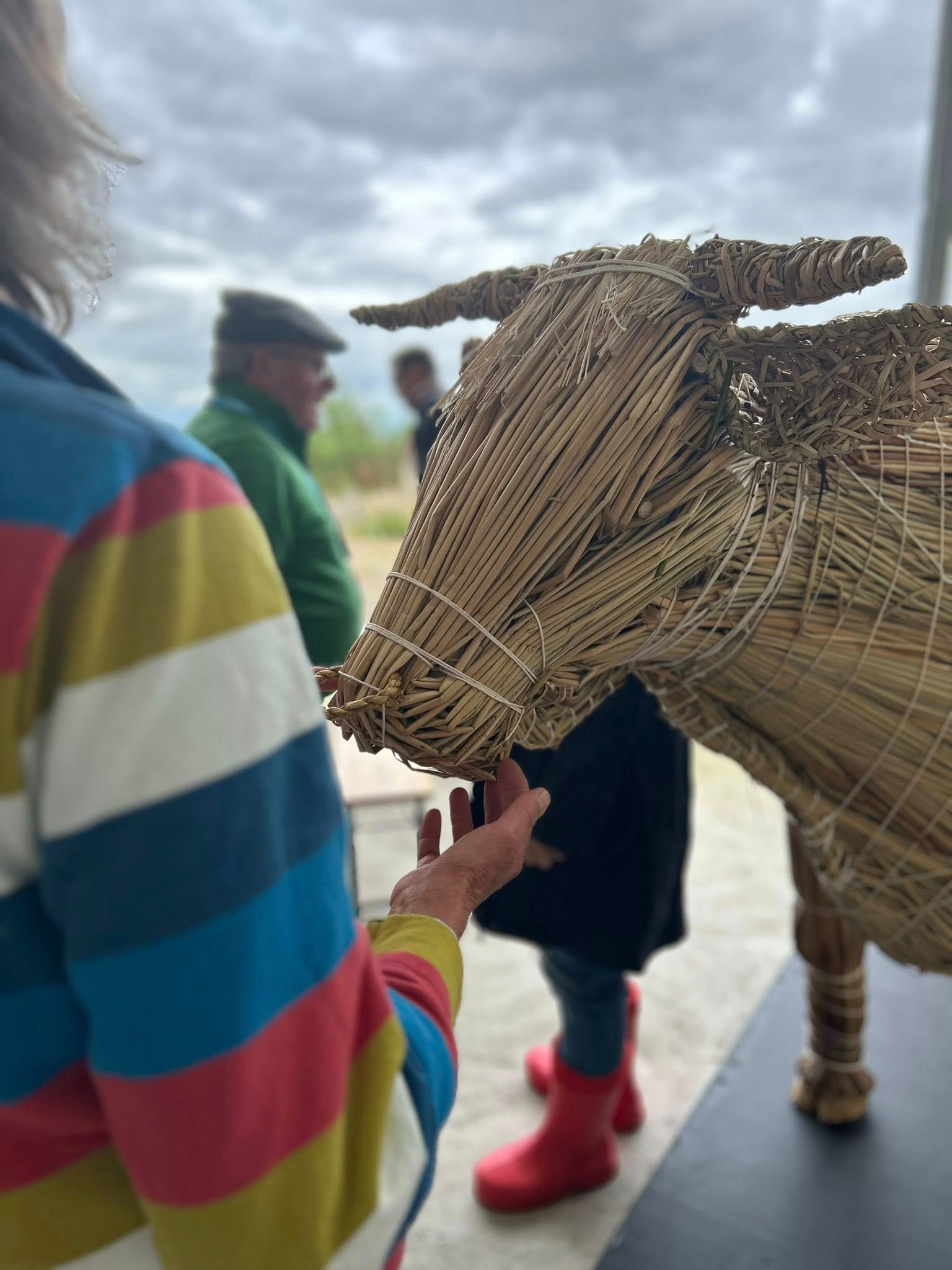 544812324_769977348993371_80019763034279040_n