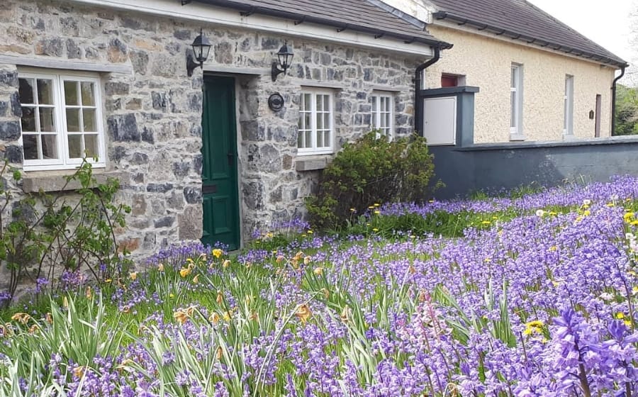 Screenshot_20-3-2026_13050_www.instagram.com