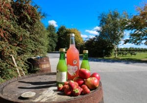 The Apple Farm