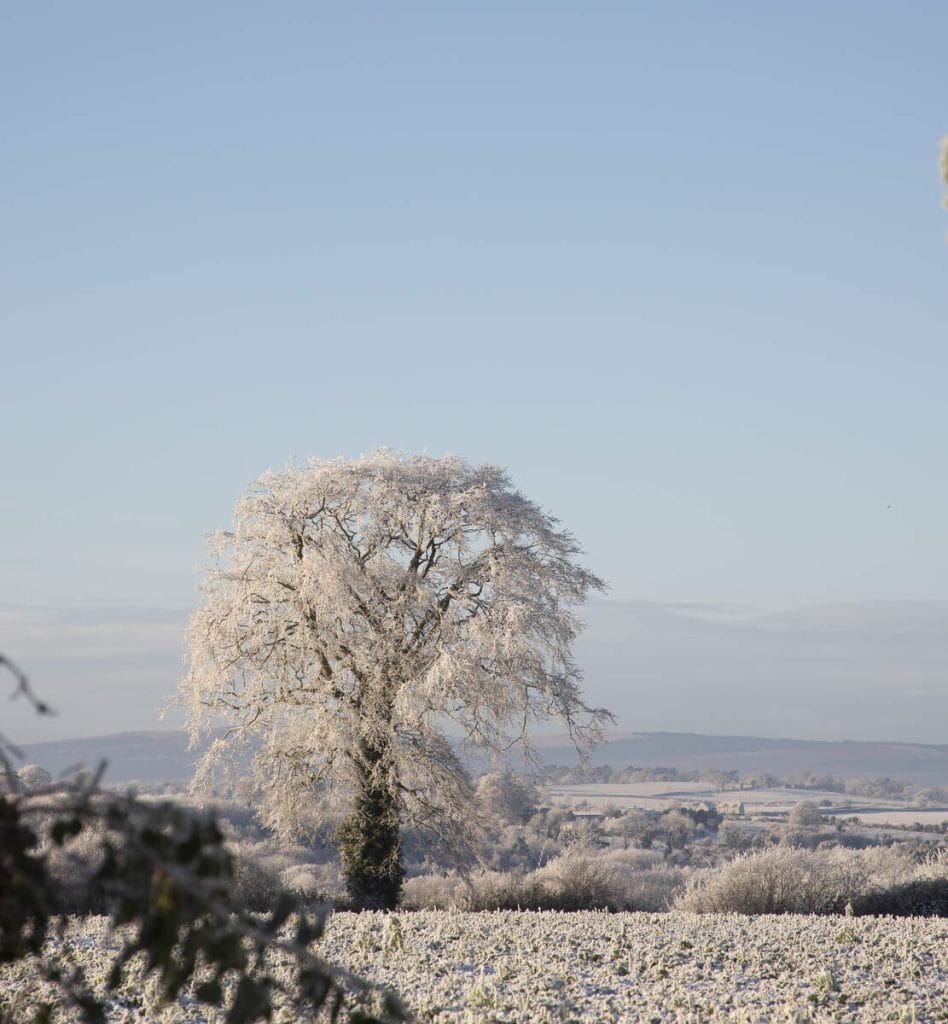Winter, Terryglass, Lough Derg, Co Tipperary