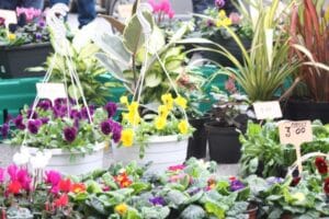 Tipperary Town Farmers Market