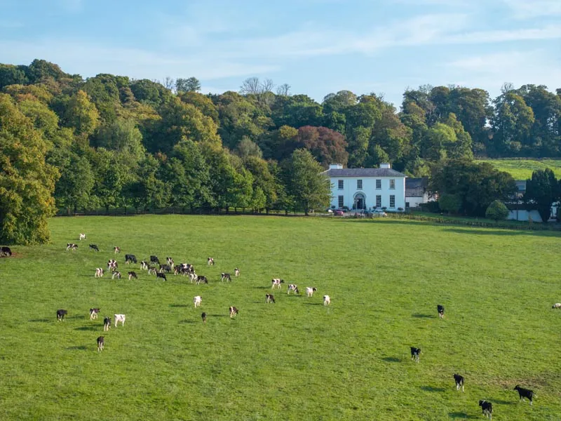 noan-house-aerial-03_1