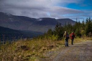 Padraigs Loop  Aherlow