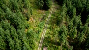 Glengarra Wood