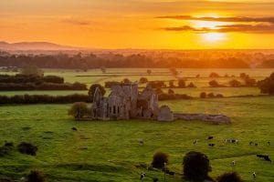Hore Abbey