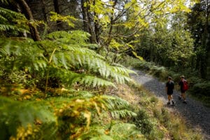 St Berrihert’s Well and Kyle
