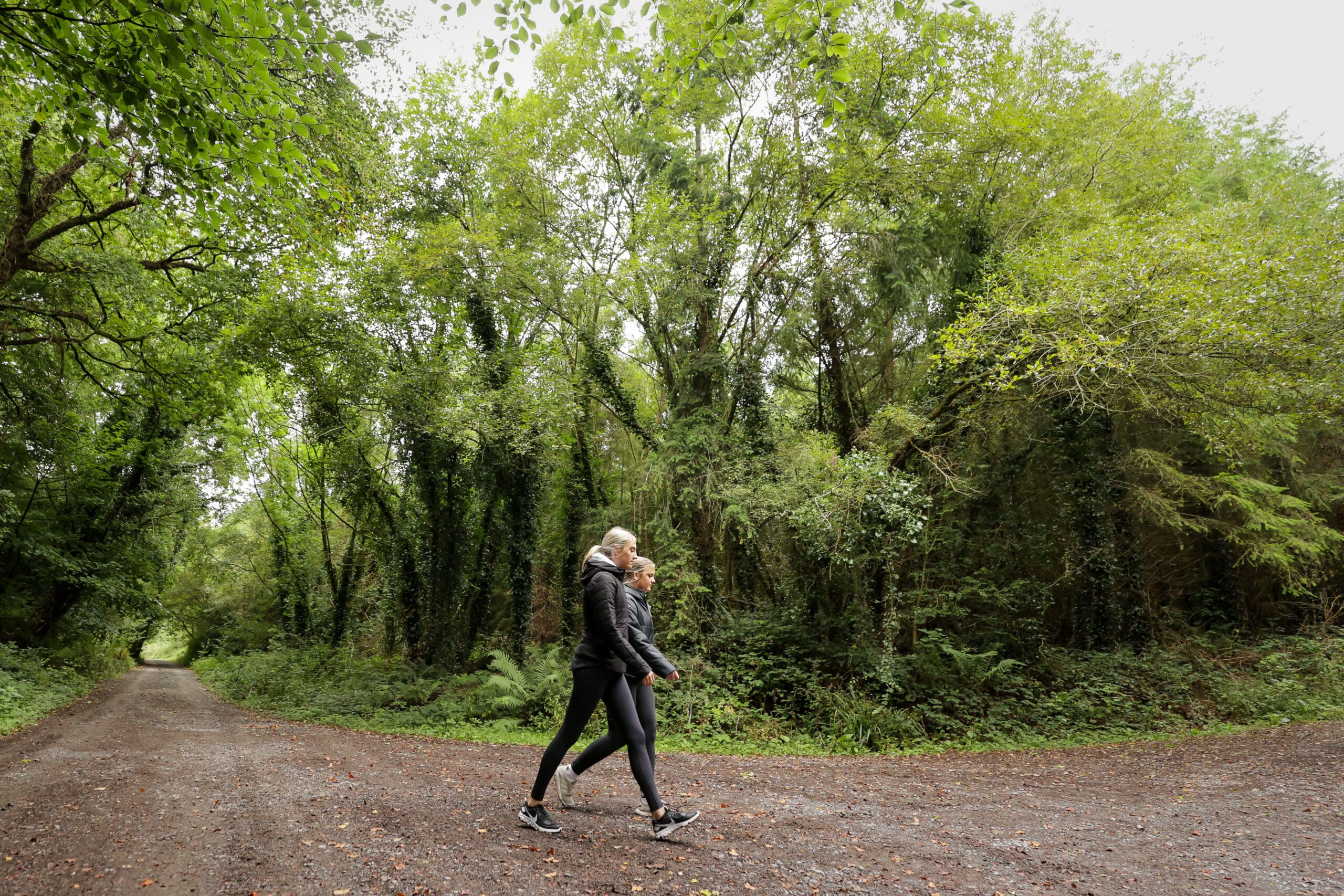 52361760498_2d17e1dd0c_o