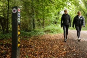 Dolmen Loop – Aherlow