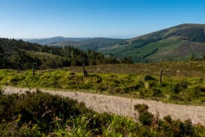 Slievenamon Walk