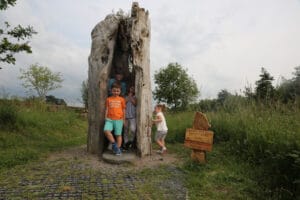 Cabragh Wetlands