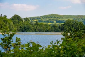 Marlfield