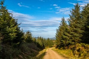The Slieve Felim Way