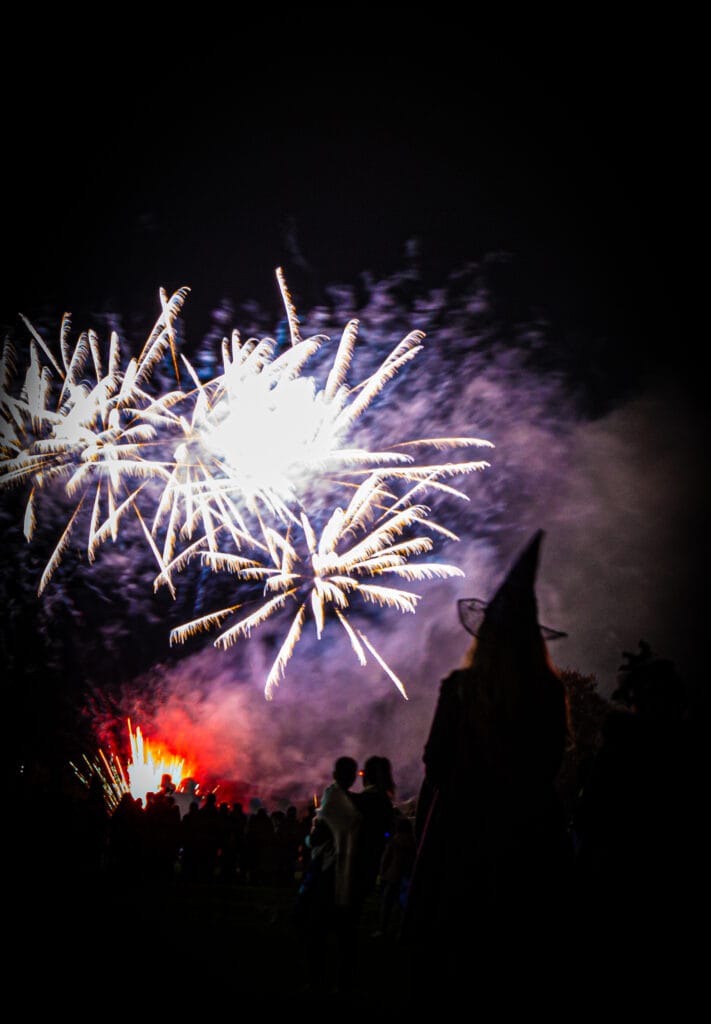 Fireworks exploding in a dark sky with a witches silhoutte in the foreground