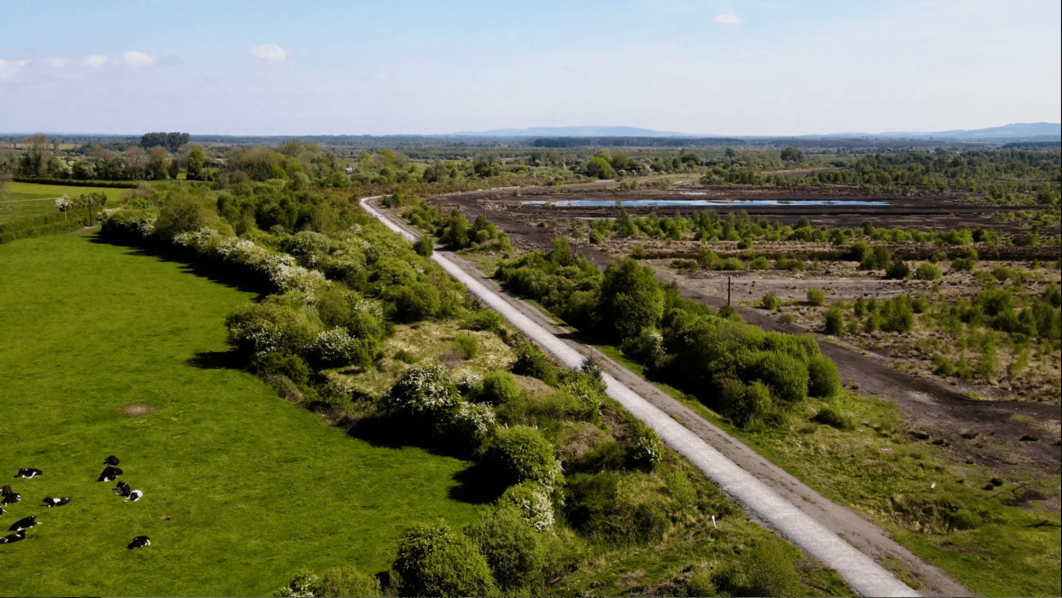 Aerial View of Littleton Labyrinth, bog trail