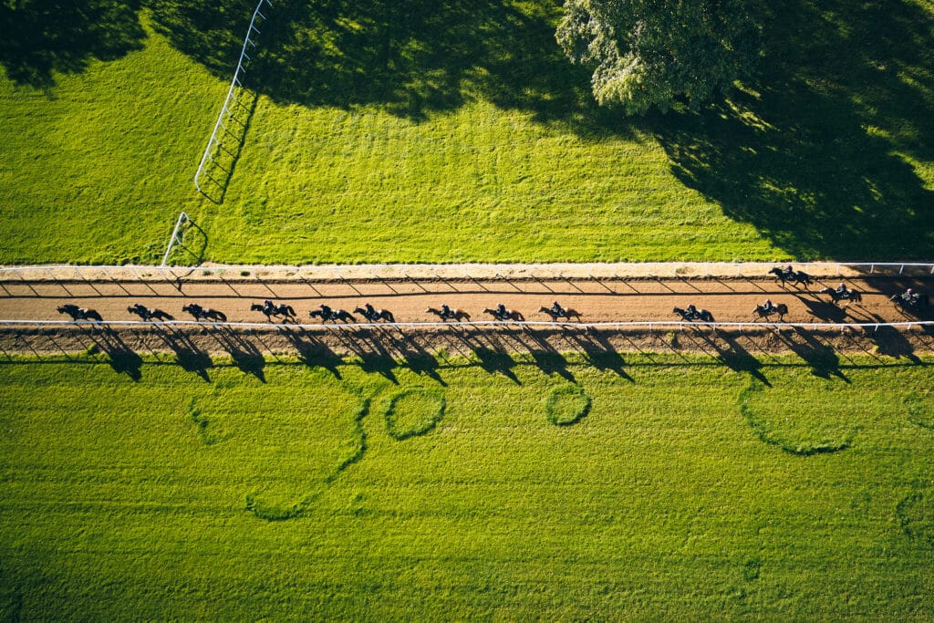 Aerial View of Ballydoyle racehorses training 