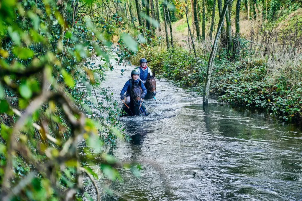 Horses and Riders wading through a river surrounded by woodland at Crossogue, Co Tipperary
