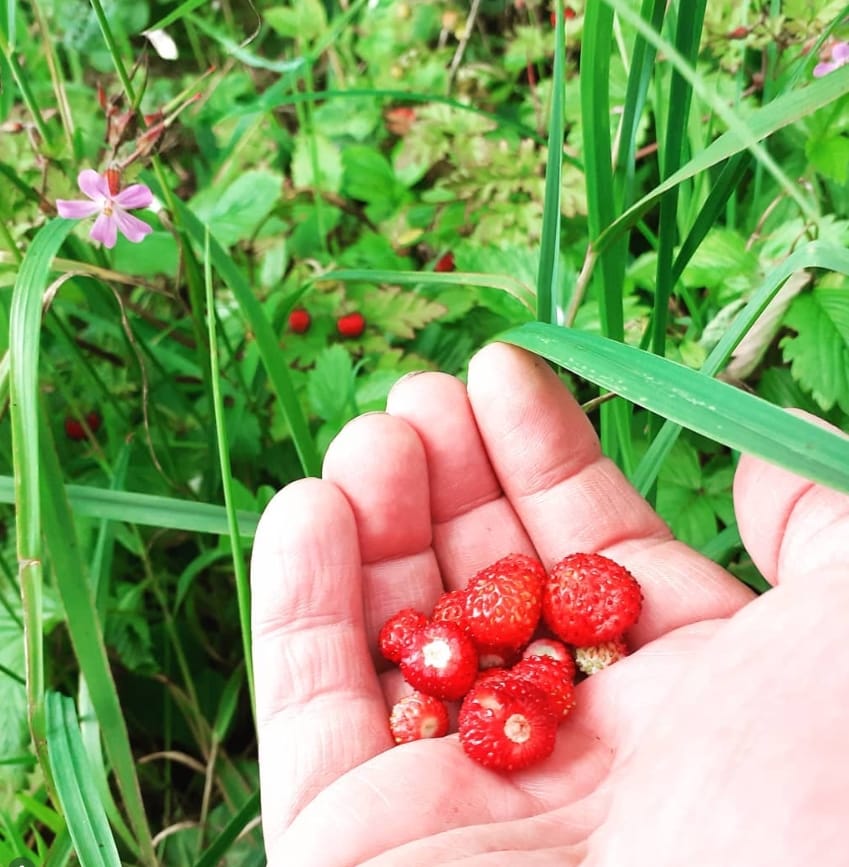 Screenshot_13-3-2026_102653_www.instagram.com